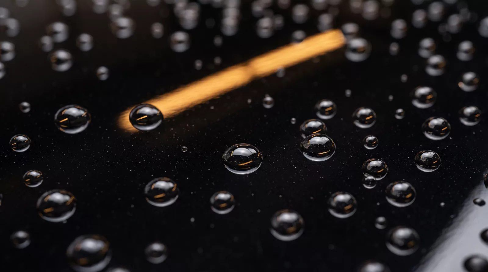 Water beading on freshly protected glossy paint